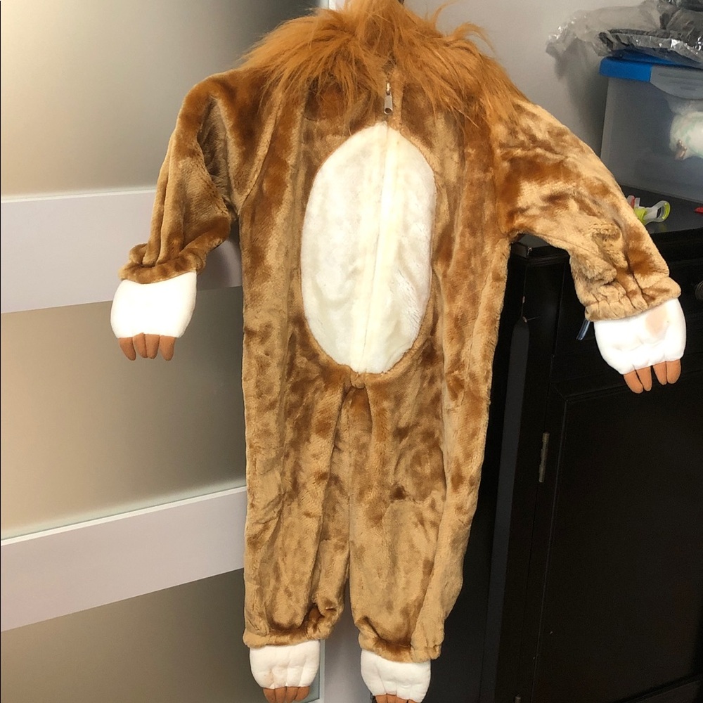 Brown Lion Costume for Kids